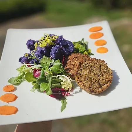 Chytrov Hotel Volfirov