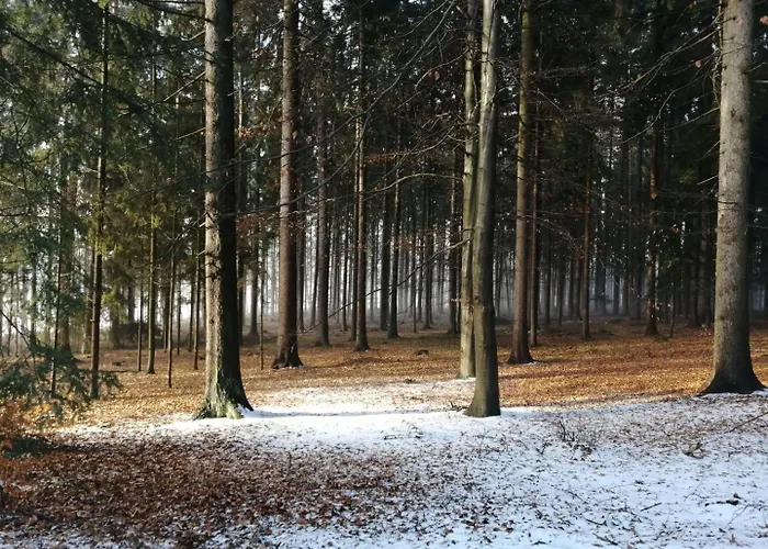 Chytrov *